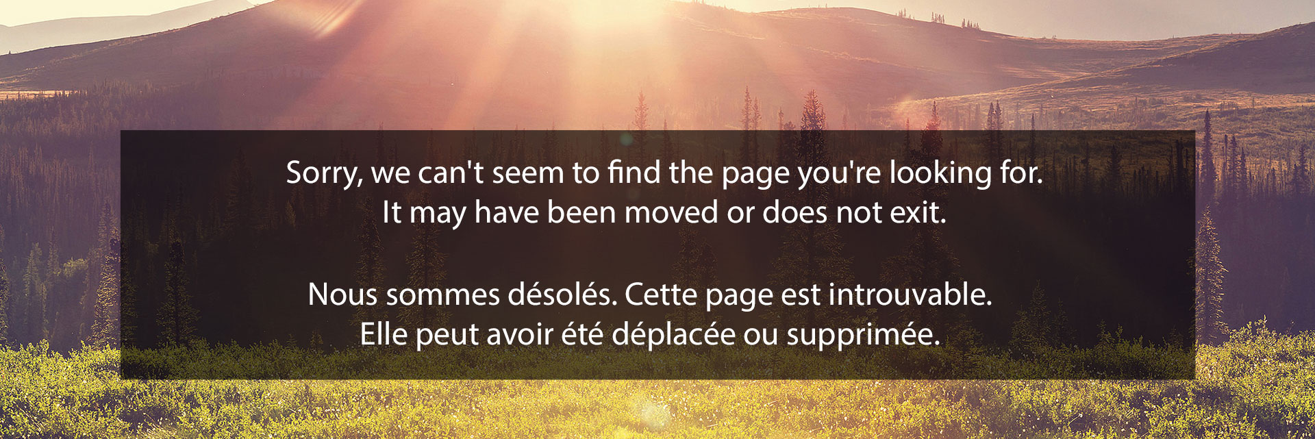 Sorry, we can't seem to find the page you're looking for.