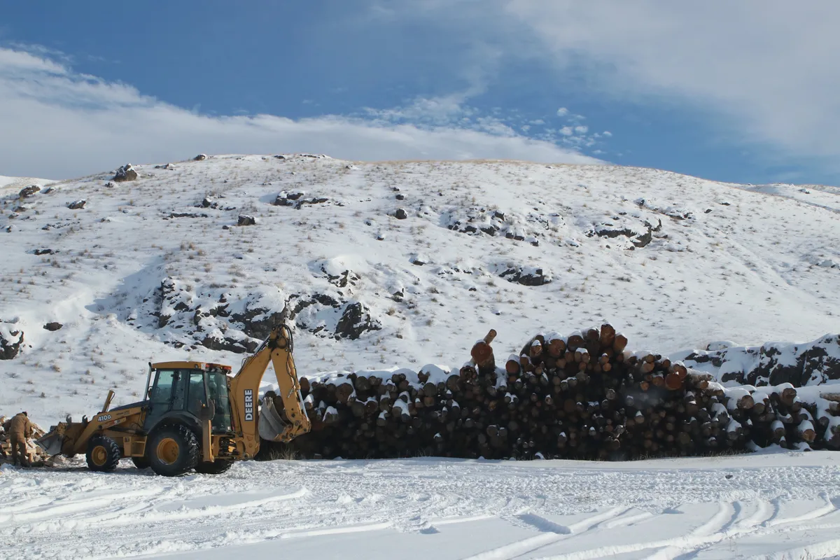Logged trees are piled near the base of Elephant Hill in Ashcroft, B.C., on Jan. 10, 2022. Aaron Hemens / The Globe and Mail