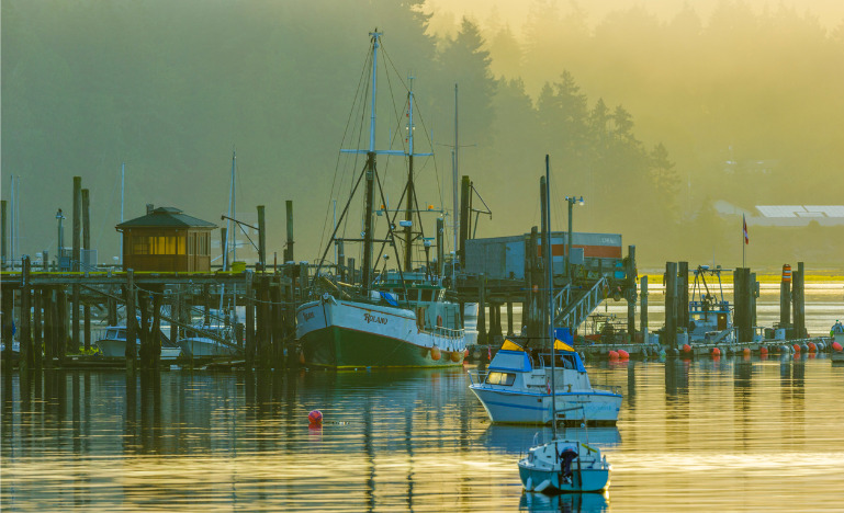 Vancouver Island, British Columbia