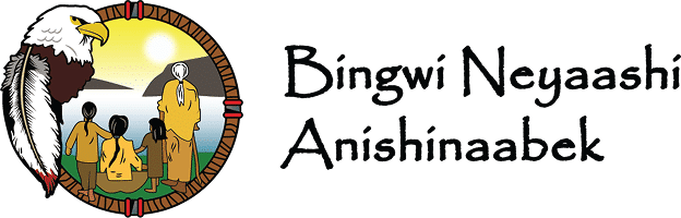 Bingwi Neyaashi Anishinaabek logo.